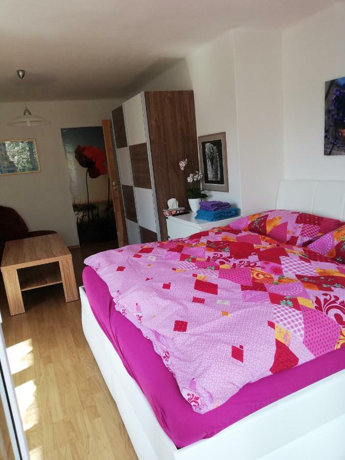 Penzion Kuku Cesky Krumlov Bagian luar foto
